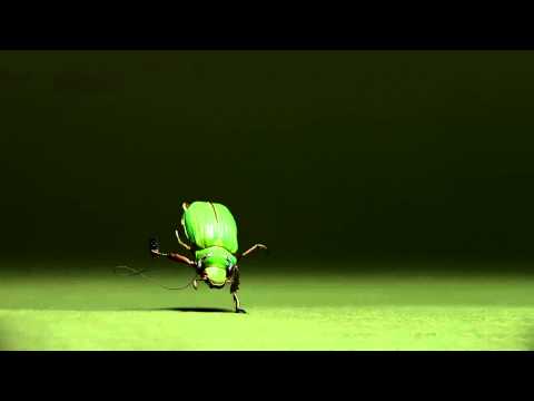 Terry Ferminal - A Thousand Miles