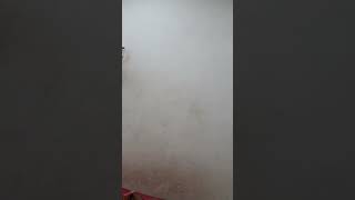 Download lagu Sinema Utama Bollywood #Shorts Di #MNCTV mp3