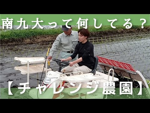 【チャレンジ農園2024】田植え