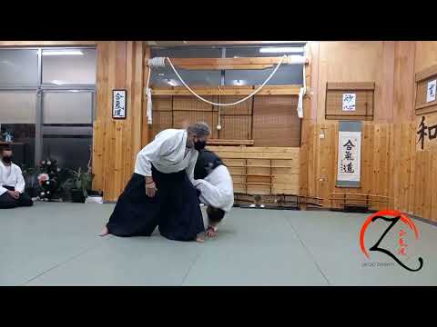 Aikido zanshin  #合気道 - beautiful techniques