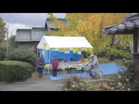 Sobue Yellow Ginkgo Festival | そぶえイチョウ黄葉まつり