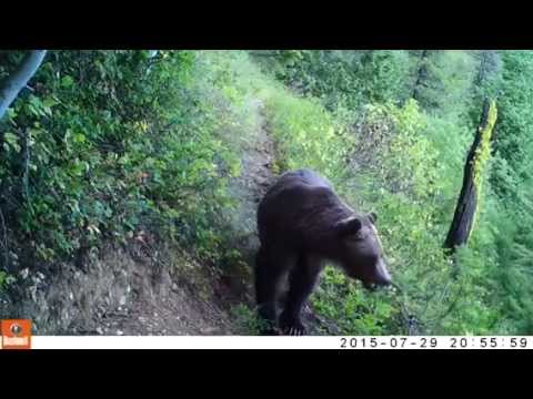 15" Video Contest | Jeramey Marsh, British Columbia