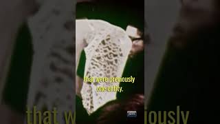 Download lagu The AMAZING thing about marriage mp3 Download lagu The AMAZING thing about marriage mp3