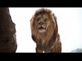 The Lion King 2019 The Opening Scene Scar And Mufasa