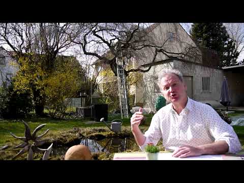 Leonhard Thoma liest. Die Obstverkäuferin