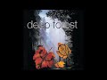 deep forest cafe europa
