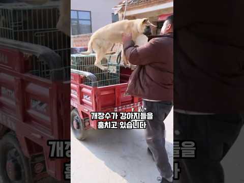 힘을 합쳐 위기를 극복한 가족