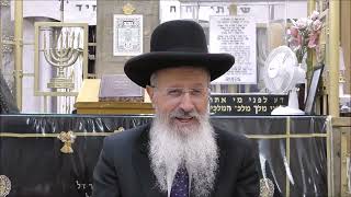 הרב הגאון אברהם יוסף שליט"א האם המסובין רשאים לטעום עד שיטעום הבוצע סימן רעד סעיף ג