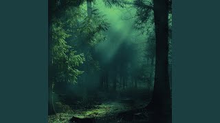 Sound Of The Forest