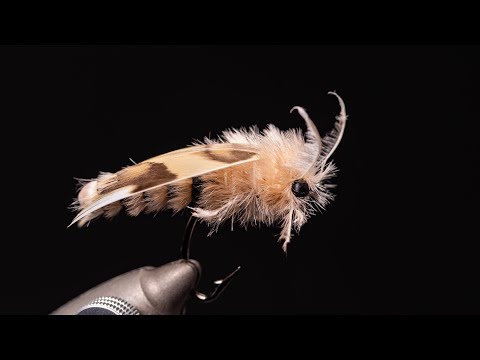 Spongy Moth (Realistic) for Trout: Relaxing Fly Tying ASMR
