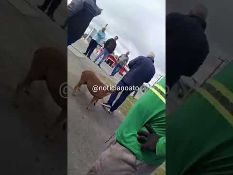 Julieta desengata e causa acidente na SC 114 em Otacílio Costa - SC.       Imagens : noticianoato