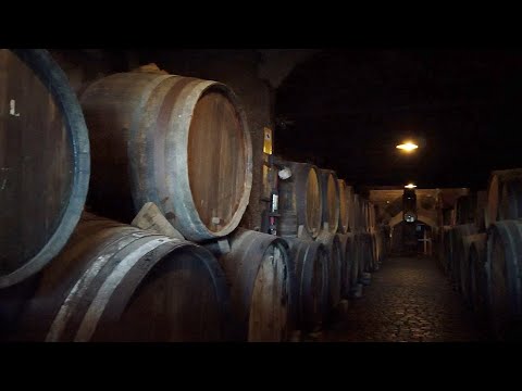Tacoronte Bodegas - Weinberg-Weintour auf Teneriffa in der Nähe von La Laguna