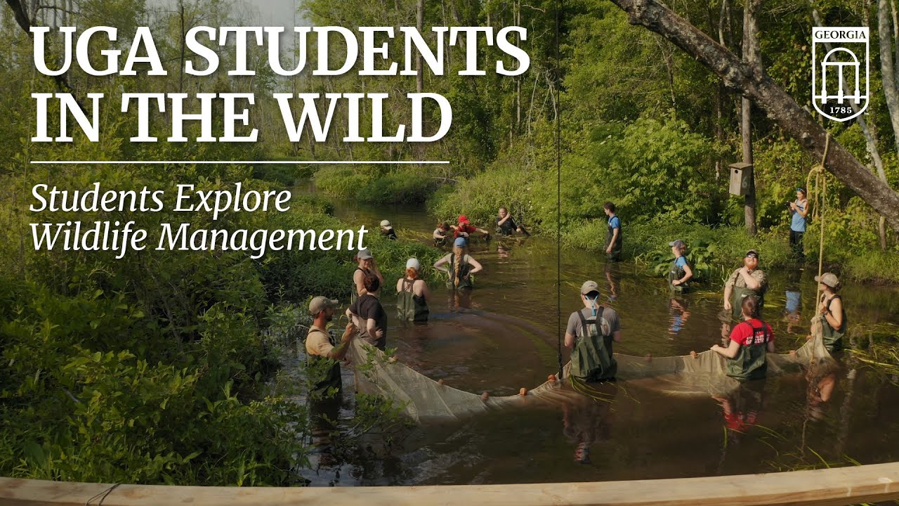 A Masterclass in Wildlife Research