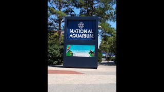 Baltimore National Aquarium
