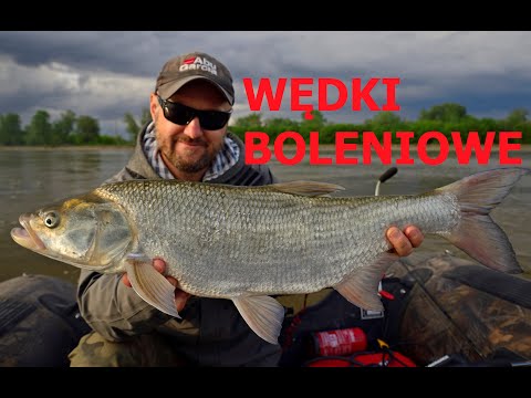 Jaka wędka na BOLENIA? / odc.86 - WĘDKARSTWO i bolenie