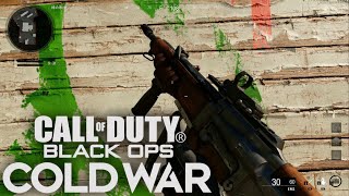 #2【CoD:BOCW】巷で話題の覇権武器！アサルト編【ねこねこ33】