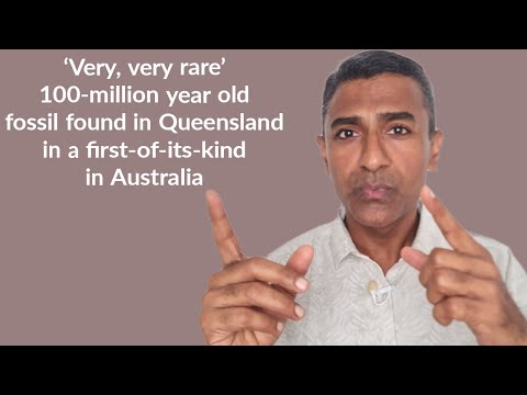 'Very, very rare' 100-million year old fossil found in Queensland in first-of-its-kind in Australia