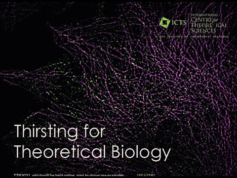 Mechanobiology of the Mitotic Spindle - 2 by Nenad Pavin