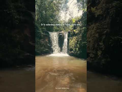 #nature #turismoparaguay #jahaitehese #paraguay #viajesypaseo #viajeros #travel #capiibary #sanpedro