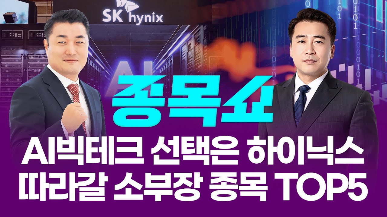 AI빅테크 선택은 하이닉스... 따라갈 반도체 소부장 종목 TOP5 ㅣ 종목쇼ㅣ