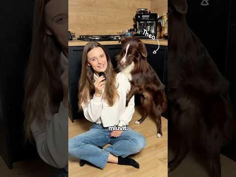 Učím svého psa mluvit 🐶