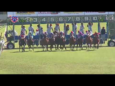 RM15 R1 - Perplexing(D.Stackhouse)