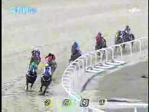 2007 Ttukseom Cup (G3) (2007.04.15, 7f)