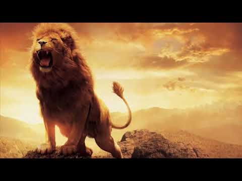 The Lion And The Narcissist