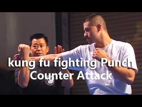 kung fu fighting Punch Counter Attack #SelfDefense#Gongfu#Kungfu#Qinna#MartialArts#taichi