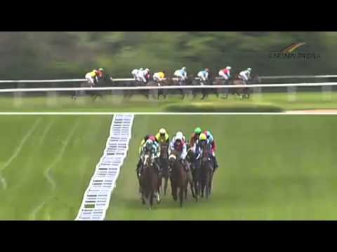 Köln   21 04 2014   Schwarzgold Rennen