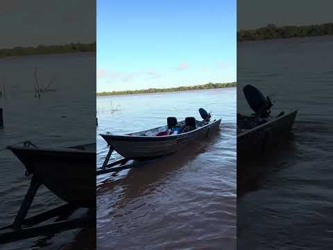 Atualização porto figueira Paraná Rio cheio #fishing #pescaria #portofigueira #rioparana