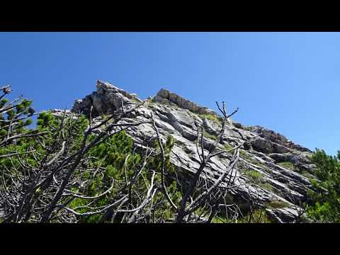 Monte Nero di Braies 06 07 2017