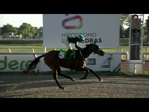 211126 c09 - MAGESTIC STORM (BRZ) - HIPODROMO LAS PIEDRAS