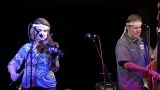 The Steeldrivers, Lonesome Goodbye