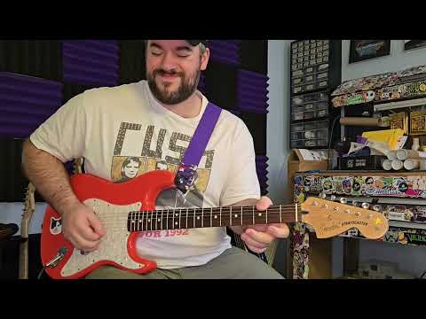 Blink 182 - Dumpweed (live) (Guitar Playthrough)