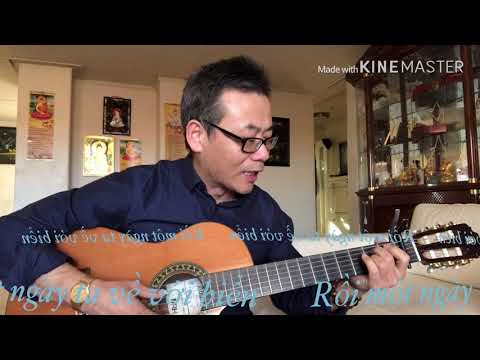 Rồi một ngày ta về với biển Sheet - Thiều Ngọc