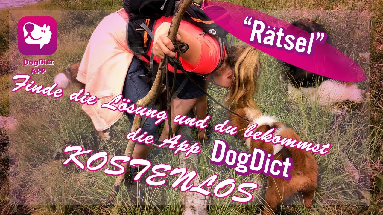 Folge 42: Schuh verloren