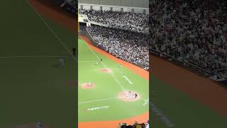 【Team Taiwan】 #premier12 台湾VS韓国@台北大巨蛋 20241113 #台湾チア #cheerdance #cheerleading #啦啦隊 #中華隊 #teamtaiwan