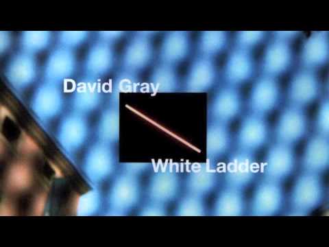 David Gray - White Ladder (Official Audio)