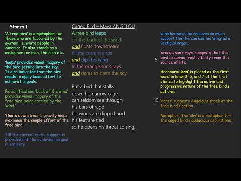 YouTube video about: How is marguerite like a caged bird?