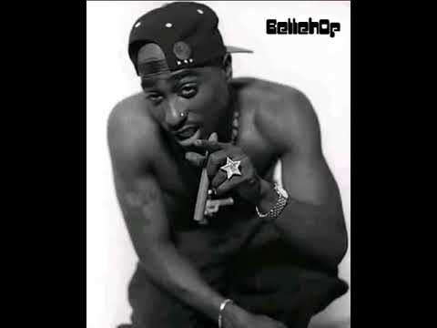 Daniel BellehOp - Related