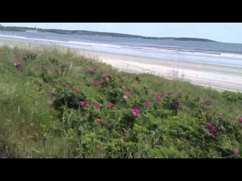 Coming back from Little Nahant Island