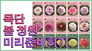 국내 최다 ☆목단(모란)☆ 입고 소식!! 봄정원 미리 준비하세요~![JB가든센터_대림묘목농원]