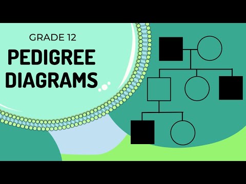 Pedigree Diagrams