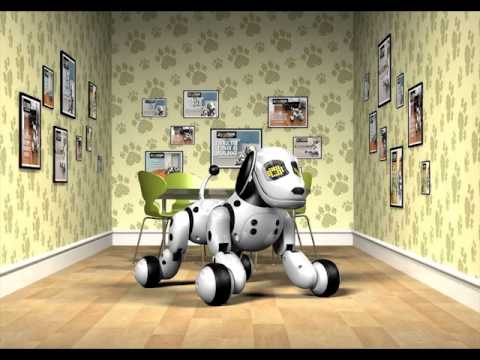 Ｈｅｌｌｏ！Ｚｏｏｍｅｒ (ハローズーマー) 英語で仕草⑮「Zoomer！Follow me」