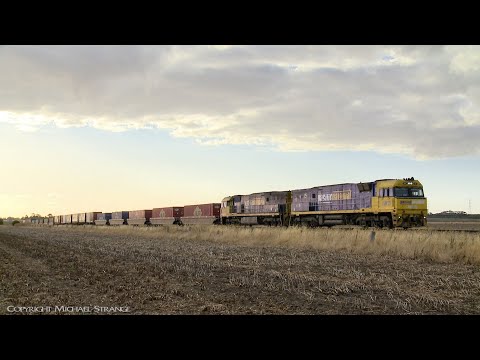 7PM5 Pacific National Container Freight Train (9/1/2019) - PoathTV Australian Railways