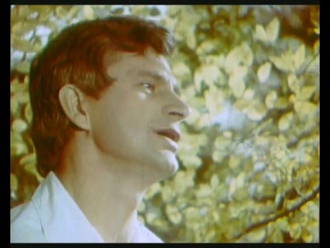 Solovyanenko "Чорнії брови карії очі" Ukrainian song 1976