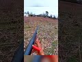 One Shot One Buck Shotgun Hunt Success Bowhunting Nobucksgiven Deerhunting Bowhunt Bowhuntord