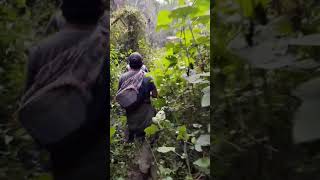 BRONCO   &quot; Di no a las drogas &quot;