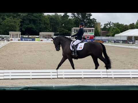 Powerpoint de Tamise and Andrea  - 6 Years Old FEI Final Test - 84,2% - 7th Place